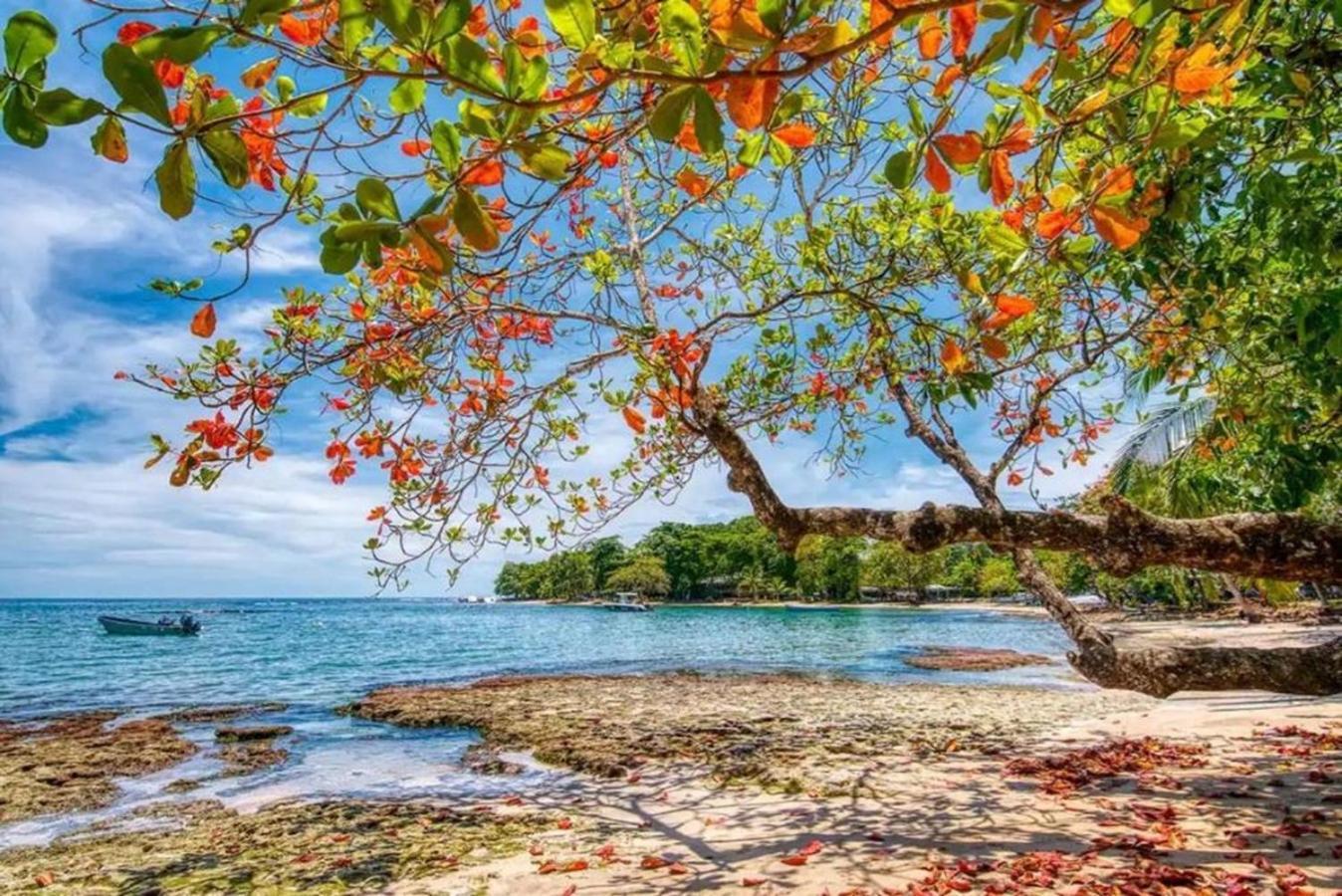 Casa Heliconia - Spacious, Big Garden, Close To The Beach Puerto Viejo de Talamanca エクステリア 写真