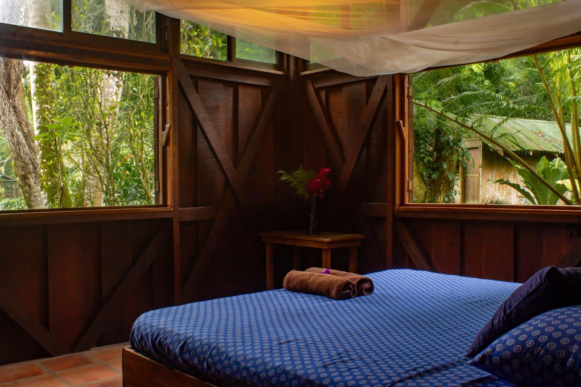 Casa Heliconia - Spacious, Big Garden, Close To The Beach Puerto Viejo de Talamanca エクステリア 写真