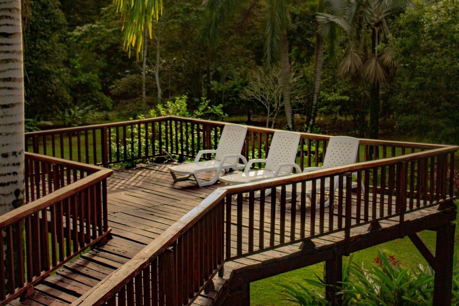Casa Heliconia - Spacious, Big Garden, Close To The Beach Puerto Viejo de Talamanca エクステリア 写真